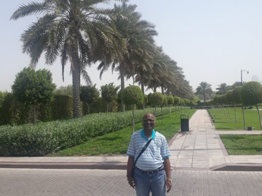 Dubai King's Palace | Dubai | Trip | Team KHFL